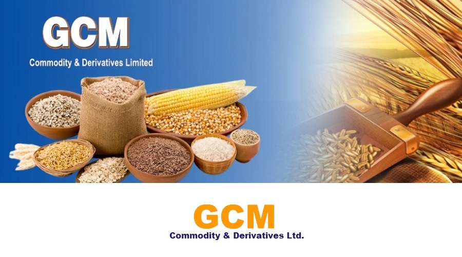 GCM Commodity & Derivatives Ltd appoints Mr. Inder Chand Bai as additional director